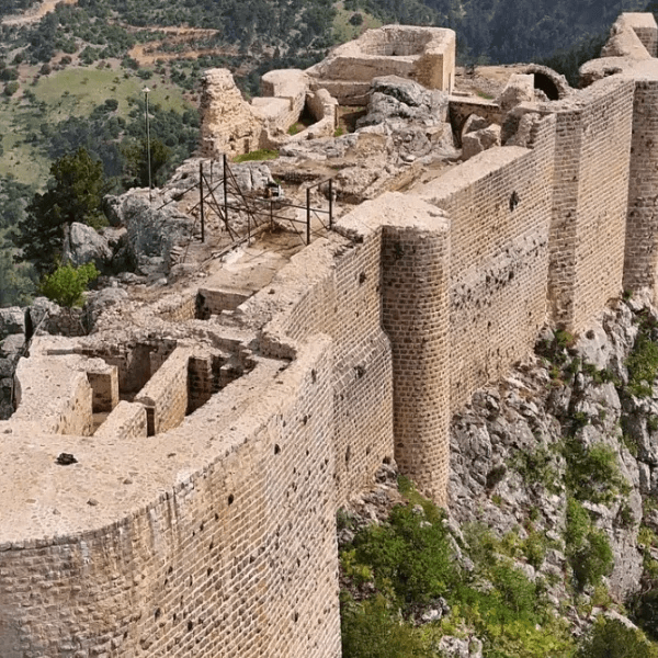 Feke'de uzman ve dikkatli elektrikçi.